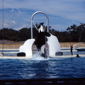 scan 64