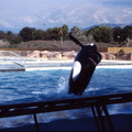 scan 65