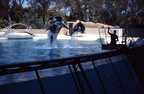 scan 66