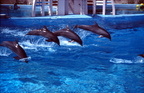 scan 67