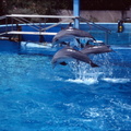 scan 68
