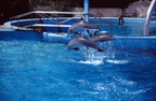 scan 68