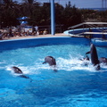 scan 70