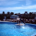 scan 71