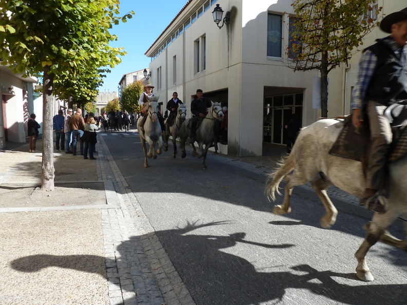P1050245.JPG