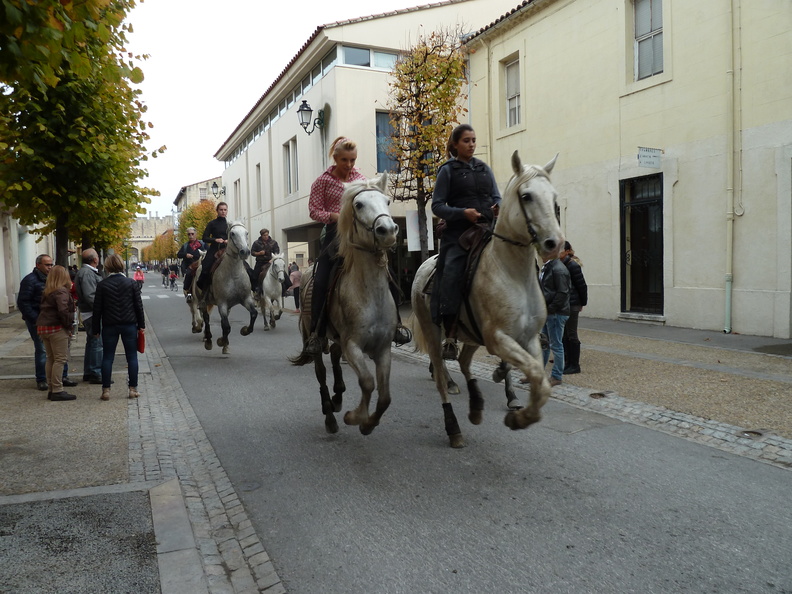 P1050281.JPG
