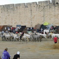 Roussataïo