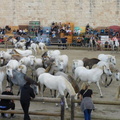 Roussataïo