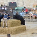 Course dans le plan