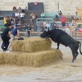 Course dans le plan