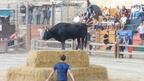Course dans le plan